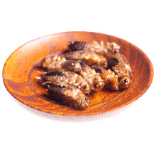 Charger l'image dans la galerie, Insectes au curry