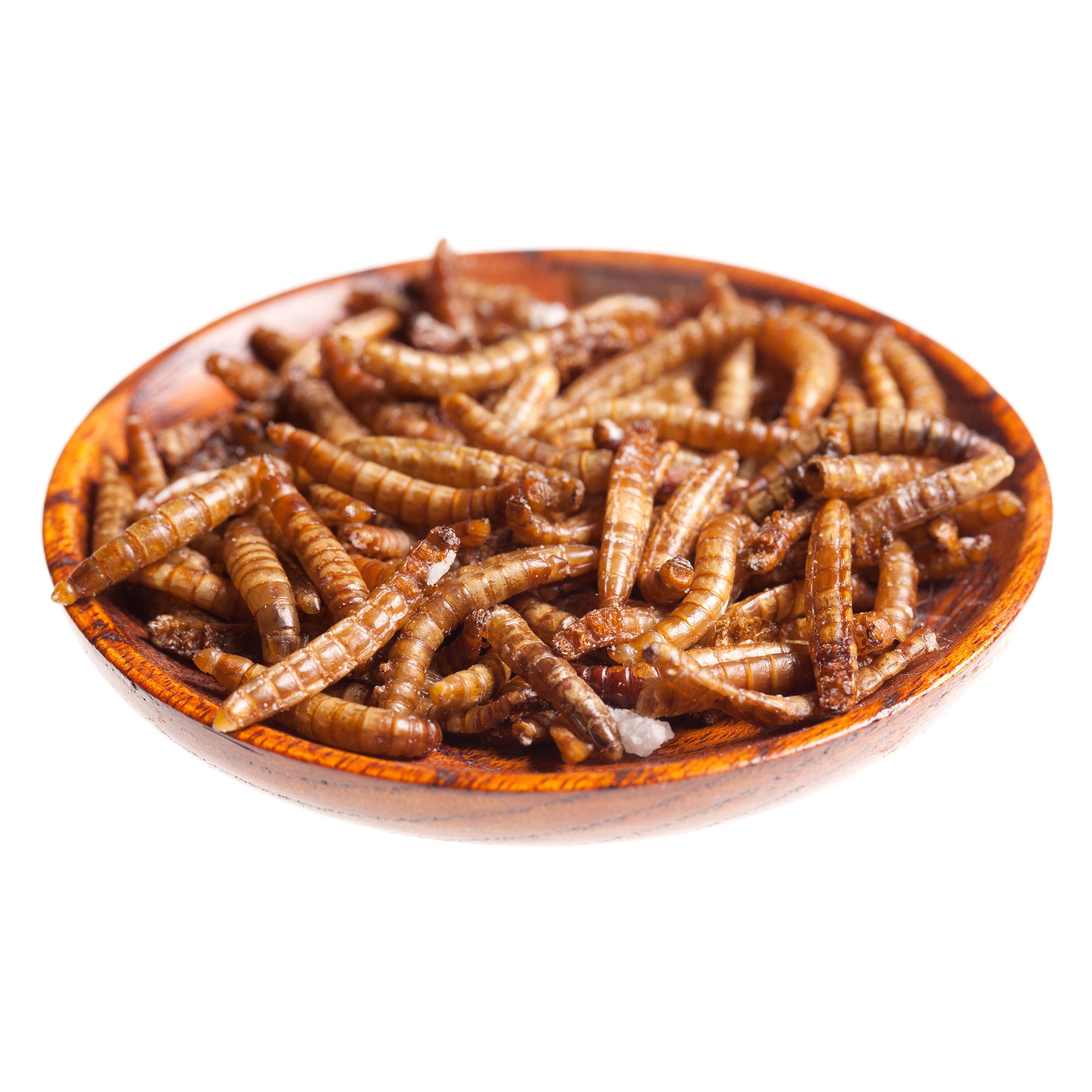 Découverte : Insectes comestibles, Vers de farine au curry